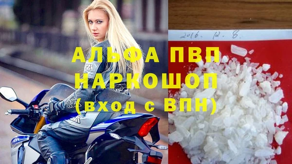 гашик Корсаков