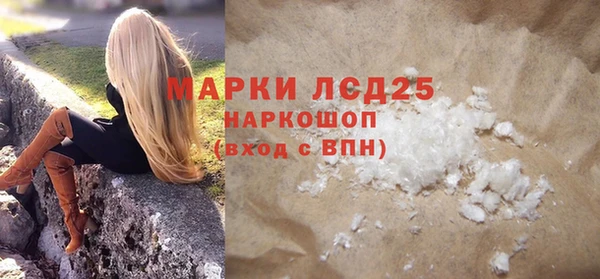шишки Коряжма