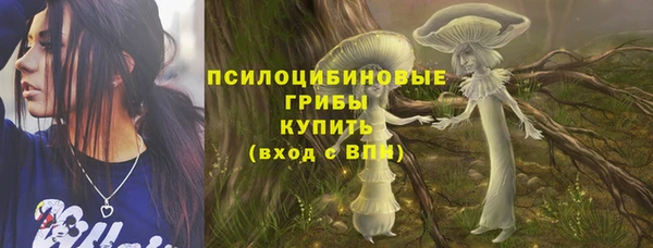 тгк Краснослободск
