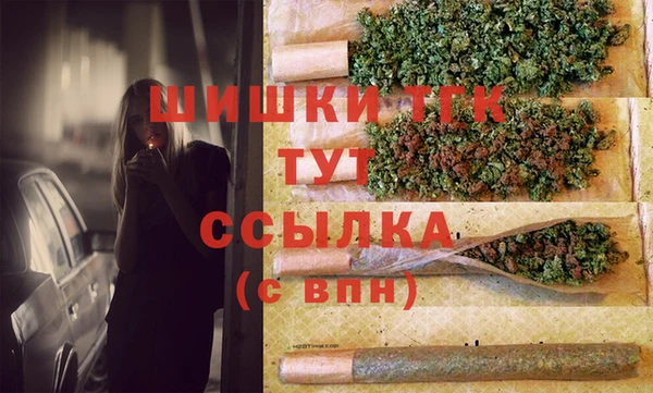 тгк Козельск
