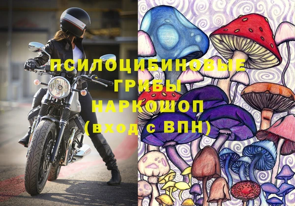 шишки Коряжма