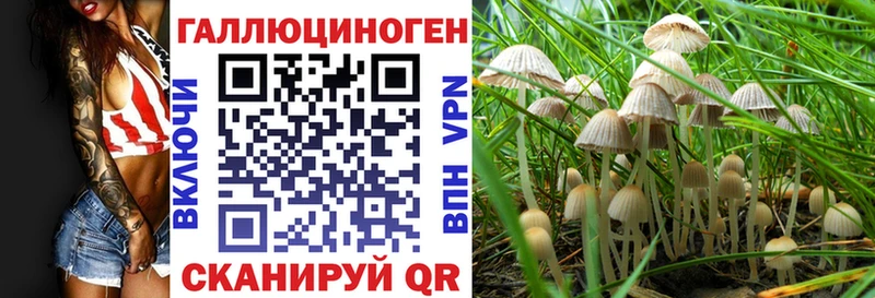 Псилоцибиновые грибы Psilocybe  Ладушкин 